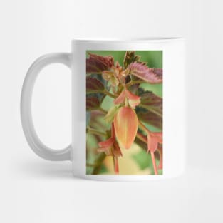 Begonia bud Mug